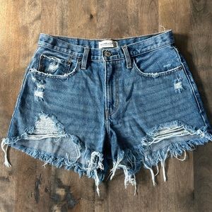 Abercrombie and Fitch Curve Love Shorts